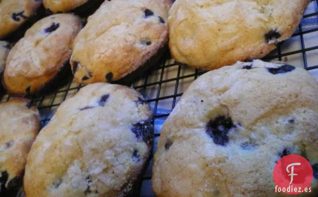 Muffins de Arándanos Fant-Easy