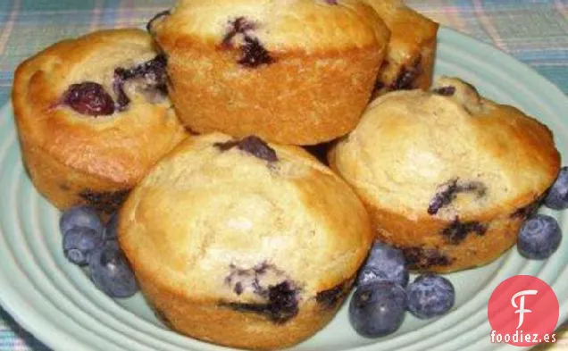 Muffins de Naranja y Arándanos (Aptos para Diabéticos)