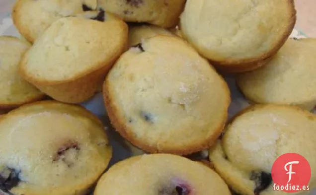 Muffins de Limón y Arándanos