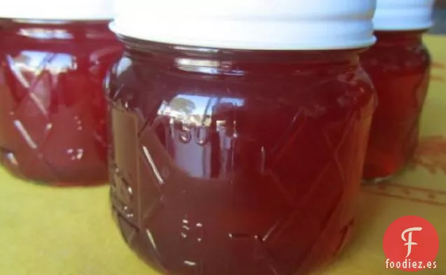 Gelatina de Bálsamo de Abeja de Arándanos