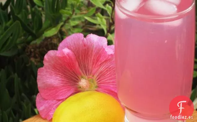 Limonada Rosa Splenda