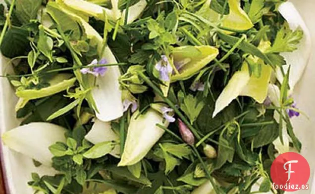 Ensalada de Hierbas y Escarola con Aderezo Cremoso de Lima
