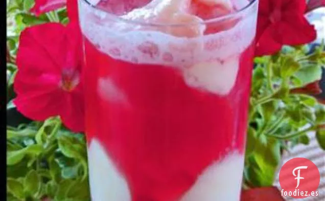 Flotador Afrutado Helado
