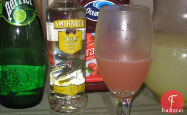 Pato Salvaje Asado Con Salsa De Arándanos