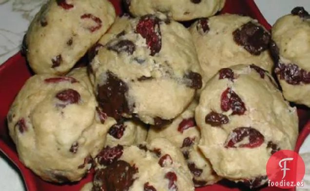 Galletas de Arándanos de chocolate-Mezclar en un frasco