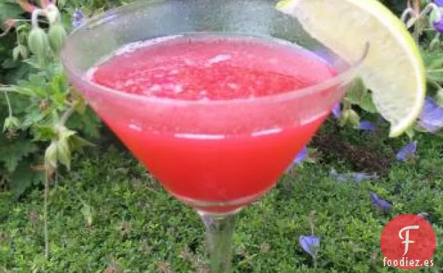 Ruiseñor de Tequila