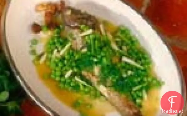 Porgy, Estilo romano: Pagro allá Romana