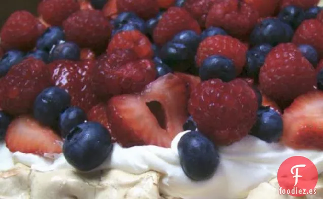 Pavlova Shell