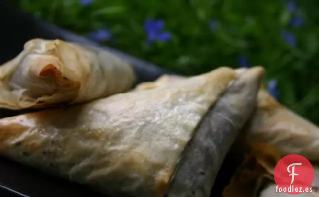 Triángulos Filo de Chocolate Mexicano