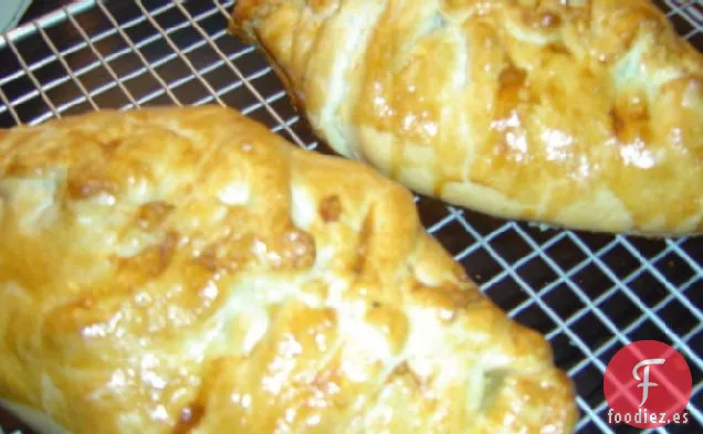 Empanadas de Pavo o Pollo sobrantes