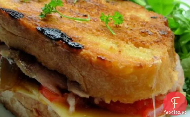 Un Sándwich de Pavo Asado y Provolone a la Parrilla