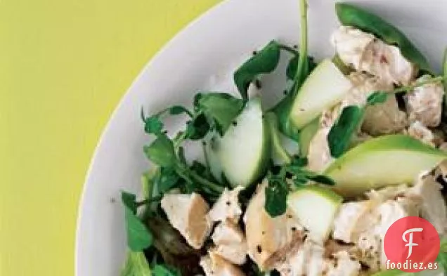 Ensalada De Pollo Con Manzana Verde Y Berros