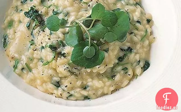 Risotto de Berros y Taleggio