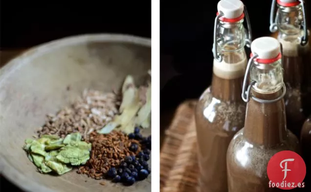 Cerveza de Raíz A Base de Hierbas