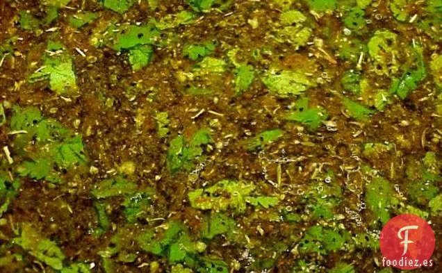 Quesadillas de Desayuno