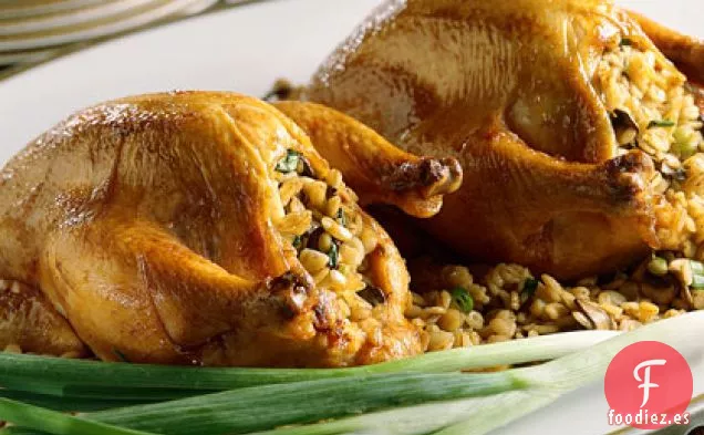 Gallinas De Cornualles Con Relleno De Cebada y Champiñones