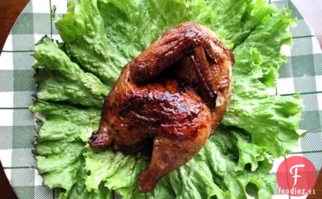 Meloso Cornish Gallinas