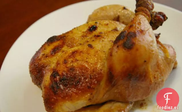 Gallinas De Cornualles Con Adobo Sencillo