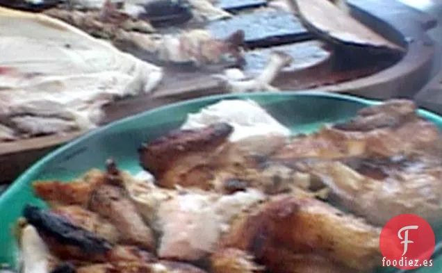 Pájaros con Cascara