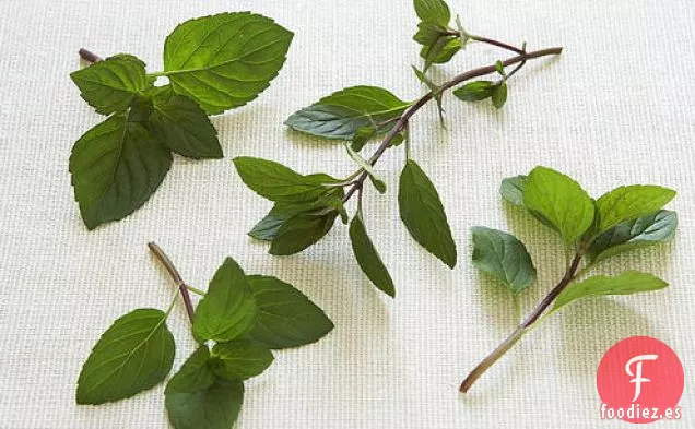 Pasta con Casi Todas las Hierbas del Jardín