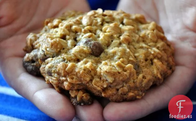 Galletas de Avena con Arándanos Cubiertos de Chocolate