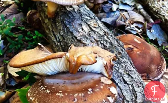 Coles de Bruselas y Sopa de Champiñones Shiitake