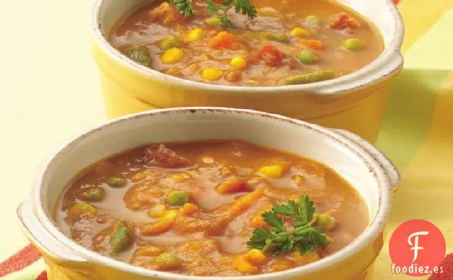 Sopa de Verduras y Calabaza al Curry