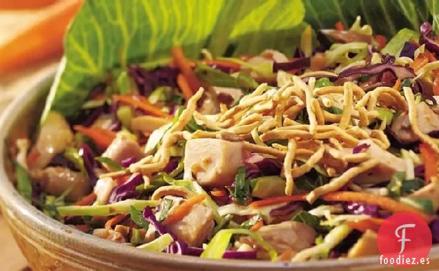 Ensalada de Repollo de Pollo