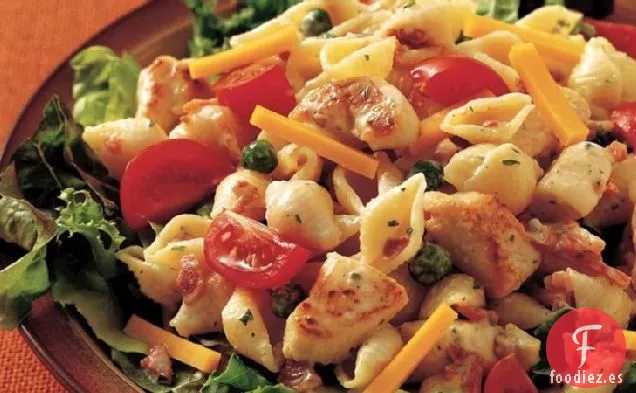 Ensalada de Pasta Club