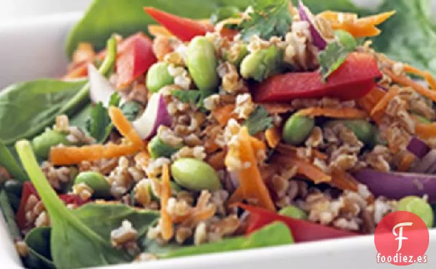 Ensalada Tailandesa Delgada con Aderezo de Maní