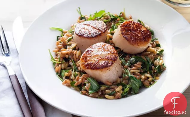 Vieiras Chamuscadas con Farro de Limón y Ensalada de Rúcula