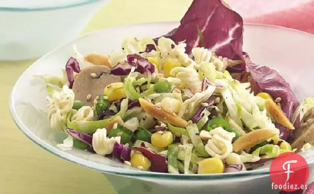 Vinagreta de Ensalada de Col con Fideos Crujientes