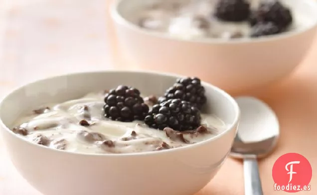 Delicia de Yogur con Chispas de Chocolate