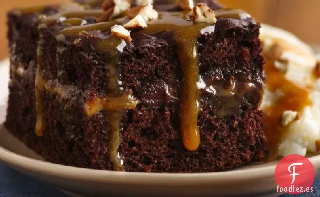 Pastel de Tortuga de Chocolate