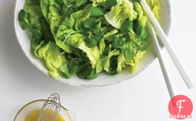 Ensalada de Lechuga Tierna