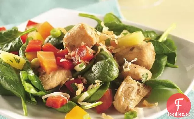 Ensalada Tropical de Pollo Con Salsa