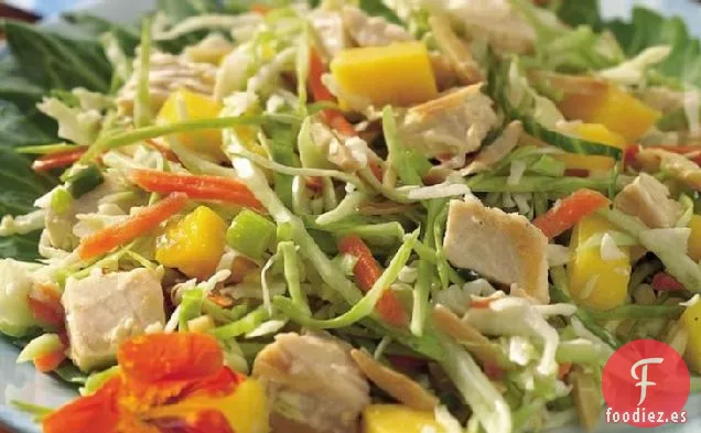 Ensalada de Pollo con Mango