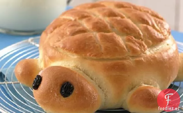 Pan de Tortuga