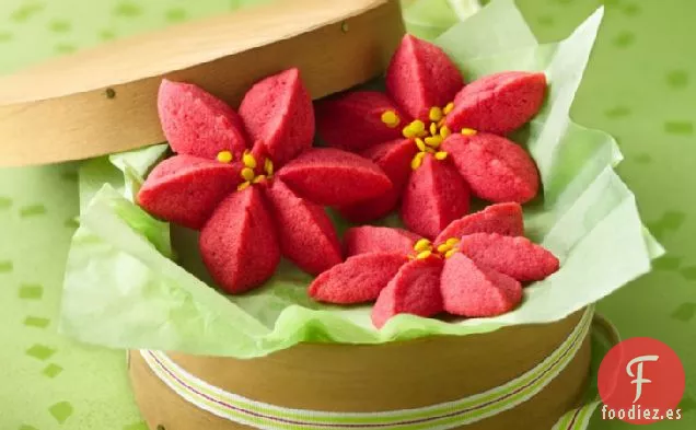 Flores de Pascua de Frambuesa
