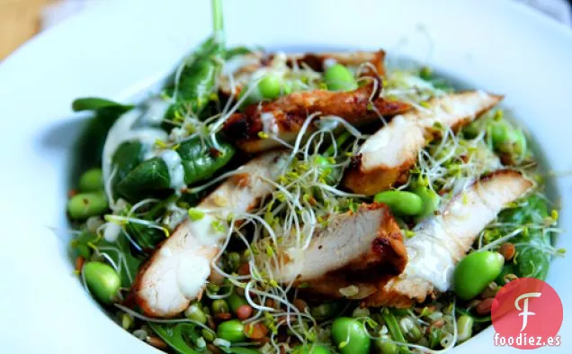 Ensalada de Súper Alimento de Pollo con Energía Cohete