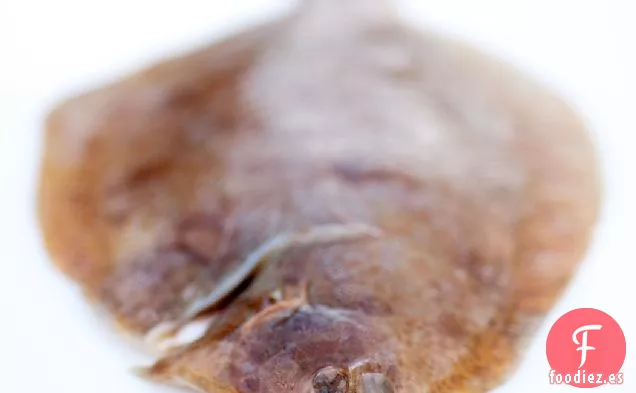 Lenguado Limón, Achicoria Y Berberechos