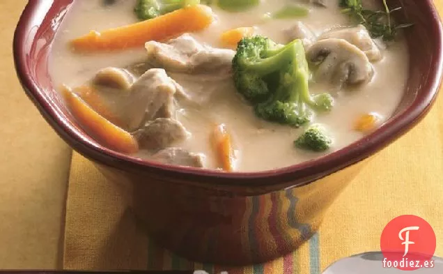 Sopa de Verduras y Pollo de Cocción Lenta