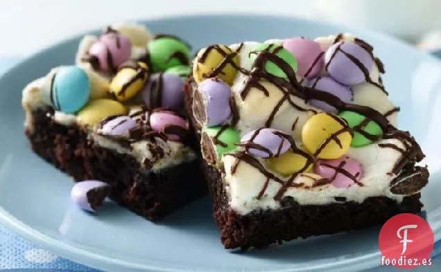 Brownies Tradicionales de Celebración de Primavera