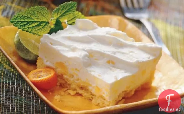 Postre de Yogur Helado Tropical