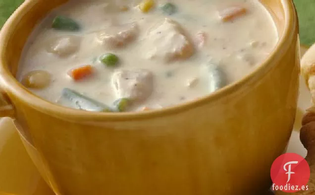 Sopa de Verduras y Atún con Queso