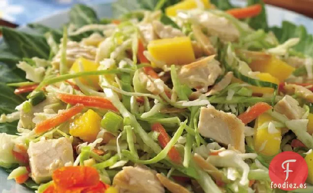 Ensalada de Pollo con Mango