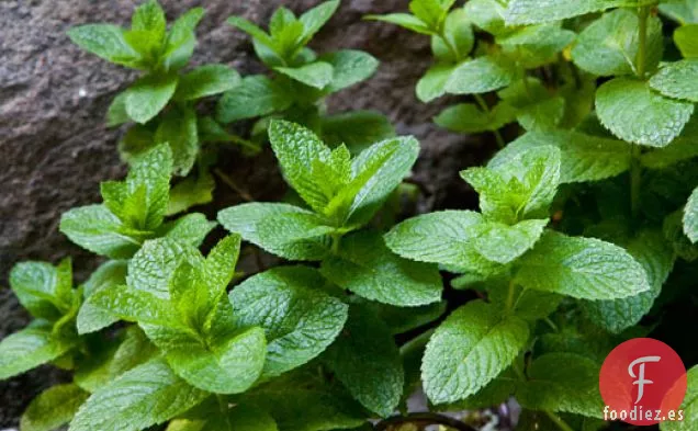 Hummus de Guisantes de Primavera