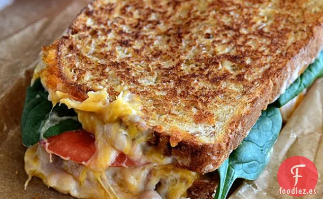 Queso Cheddar de Frijoles Blancos Fundido