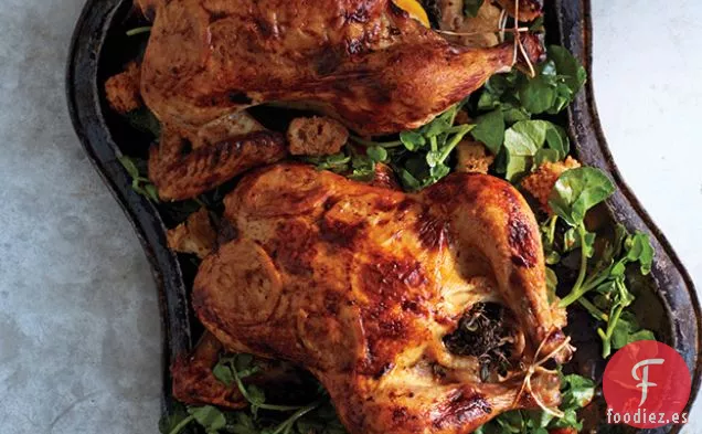 Pollo en Salmuera con Suero de Mantequilla con Ensalada de Berro y Pan