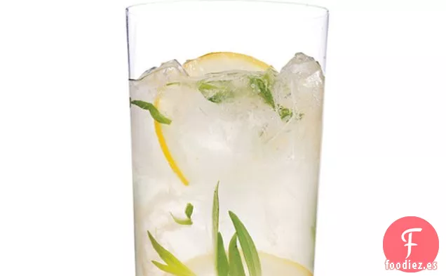 Limonada Espumosa de Estragón y Ginebra